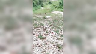 Vlog #1 - Public Sex in Park - 2 image