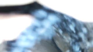 Come Watch how she Cum on this Dick and Tongue - 9 image