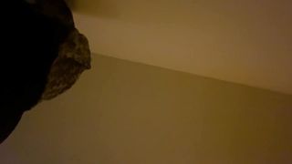 Forgot we were Recording  - 13 image