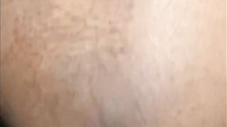 Me and my Sneaky Link in the Woods