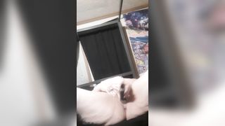 Pierced Kitty Smokes and Fucks a Bottle - 15 image