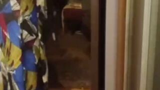 While the son is not at home - 1 image