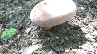 Naked Stream Bathing- no Sex- Outdoor Sexxy Chubby MILF Frangelica PFC Hair - 10 image