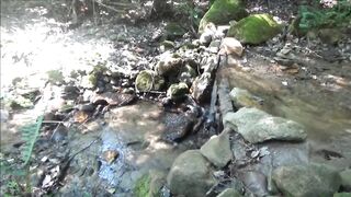 Naked Stream Bathing- no Sex- Outdoor Sexxy Chubby MILF Frangelica PFC Hair - 6 image