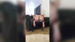 Dee Spreads Ass Puckers Native Booty - 9 image