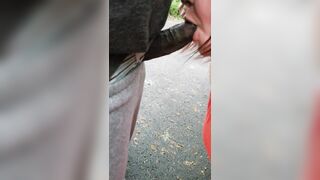 Chubby Puerto Rican grandma takes a walk in the park - 6 image