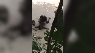 Ebony takes BBC on the beach!!! - 10 image