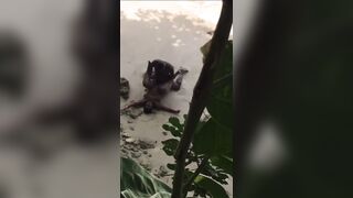 Ebony takes BBC on the beach!!! - 12 image