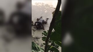 Ebony takes BBC on the beach!!! - 14 image