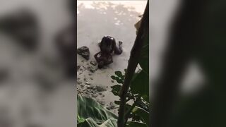 Ebony takes BBC on the beach!!! - 2 image