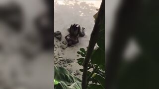 Ebony takes BBC on the beach!!! - 3 image