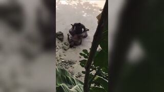 Ebony takes BBC on the beach!!! - 4 image