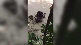 Ebony takes BBC on the beach!!! - 5 image