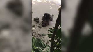 Ebony takes BBC on the beach!!!