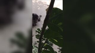 Ebony takes BBC on the beach!!! - 8 image