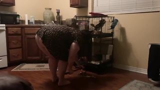 Hot BBW House Wife Gets a Creampie - 1 image