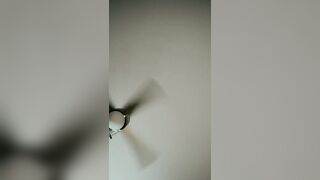 magical 3some 2 latins - 7 image