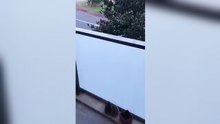 Il baise ma chatte poilue sur le balcon