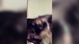 Conceited Hawley Havok Bounces Ass