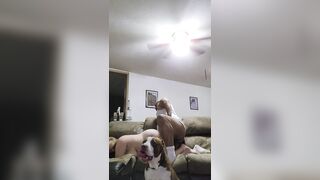 Getting fucked by Daddy - 13 image