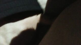 Security Guard almost caught - 7 image