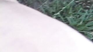 Large ladies finger each other's pussies - 13 image