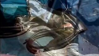 Redhead BBW gets drilled doggy style on a boat - 2 image