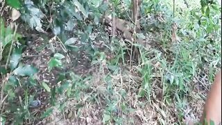 STRANGER FUCK AUNTY in the JUNGLE - 3 image