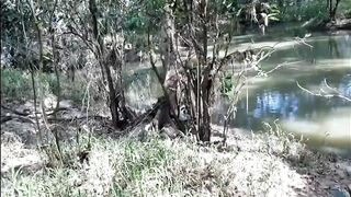 STRANGER FUCK AUNTY in the JUNGLE - 7 image