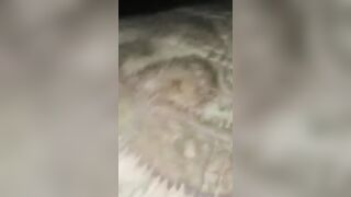 QueenPetty Detroit's Baddest Thickest White Bish In The City Getting Her Pussy Played W and Sucking