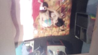 Over The Rainbow 2/2