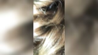 Sneaky married white milf sucking bbc pt 1 - 4 image