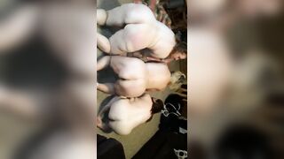 Obedient training for all 3 slaves from master D