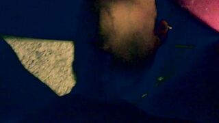 Carmen Angel Swallows - 14 image