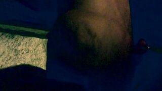 Carmen Angel Swallows - 15 image