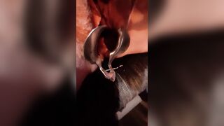 Inspecting My Old BBW fat Hairy Pussy With Speculum and Verbally Humiliating Degrading Myself - 11 image