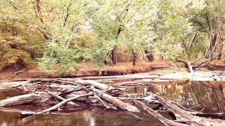 Blowjob Facial in the Woods