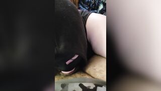 Sucking on juicy bbc - 11 image