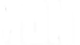 Majiik Montana Punishes Big Booty BBW Miss Exquisite Poolside - 11 image