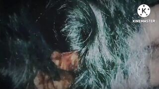 Sotele Chote Bhai Ne Choot Or Gaand Dono Faad kar rakh di