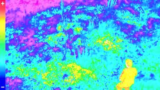 I Survived A Plane Crash