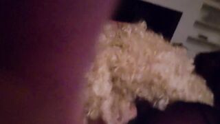 Good Ol Head Best Ever