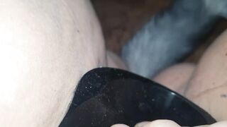 Compilation of pet play videos - 4 image