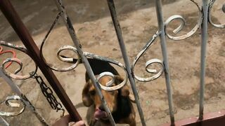 Dei carona para safadinha - 4 image