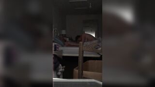 LuLu fucking another bull - 3 image