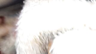 Hairy dick fucking Shaved Pussy - 5 image