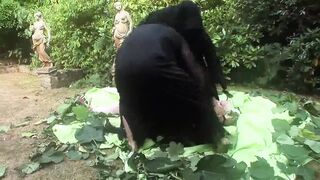 Sensual milf want big hard cock #5 - Many scenes 100 min