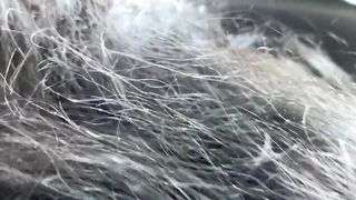 Babygirl Black BBW Sucks Daddy's Cock while Wife Drives, Shows Big Tits - 5 image