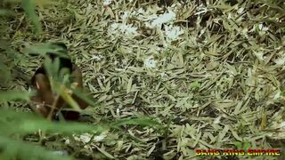 EBONY BBW BLIND VILLAGE MAIDEN GOT FUCK IN THE BUSH - 10 INCH DICK - 6 image