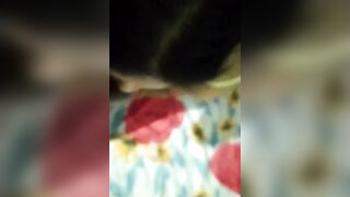 Desi Mumbai Rashmi Sucking and Doggystyle with Her Longtime Boyfriend - 3 image